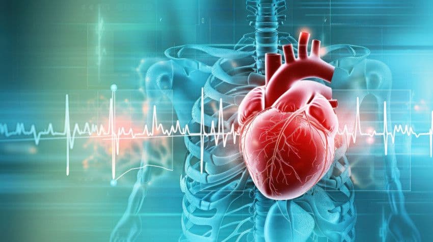 Cardiology & Hypertension Management